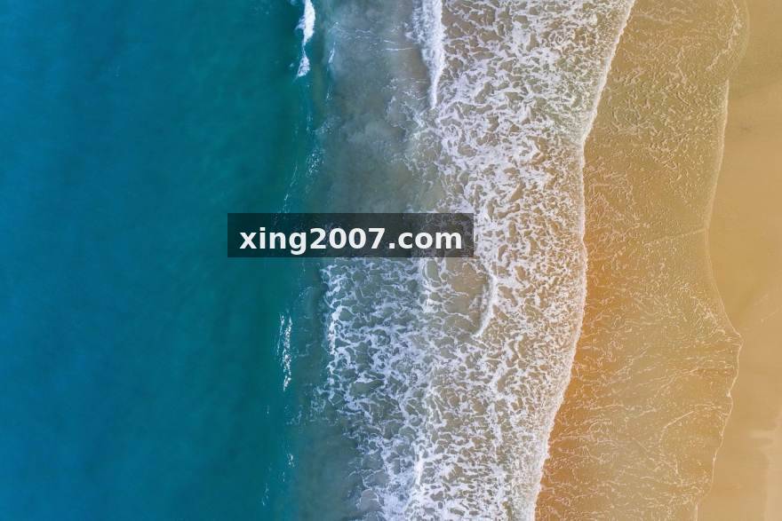 开云转会动态追踪服务配图